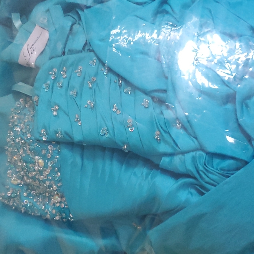 Vizcaya quinceanera dress/prom dress - Picture 13 of 13